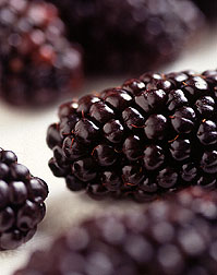 blackberry fruit